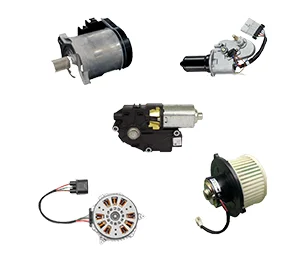 Motor Systems